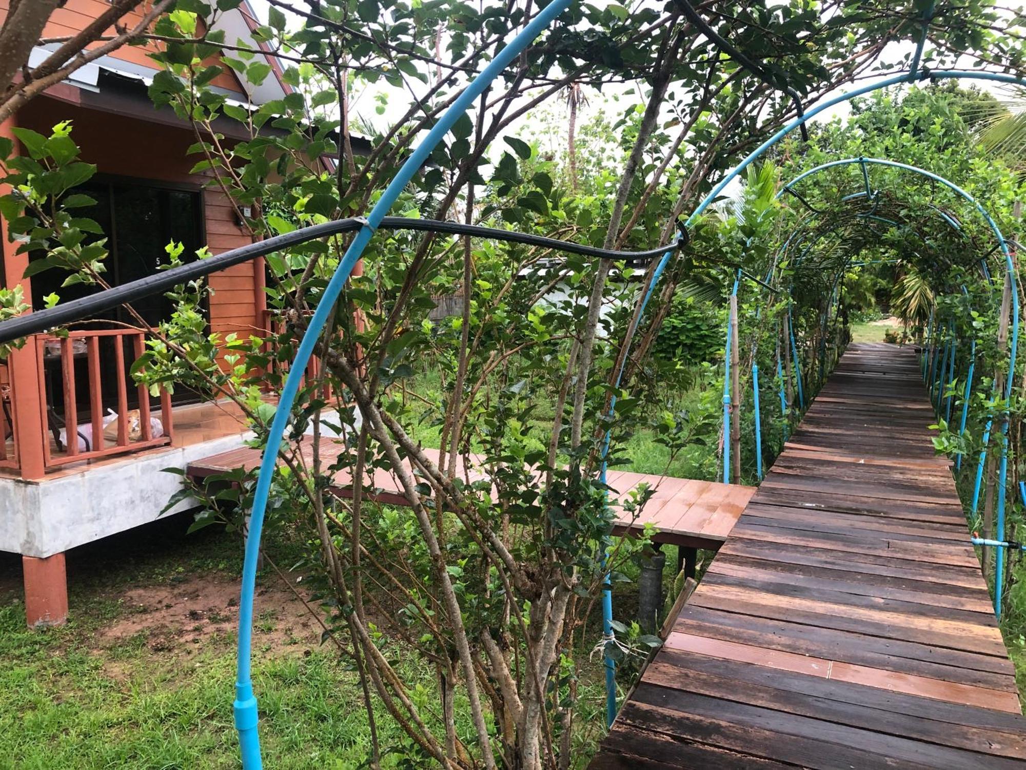 Baan Thung Home Stay Prasat Exterior foto